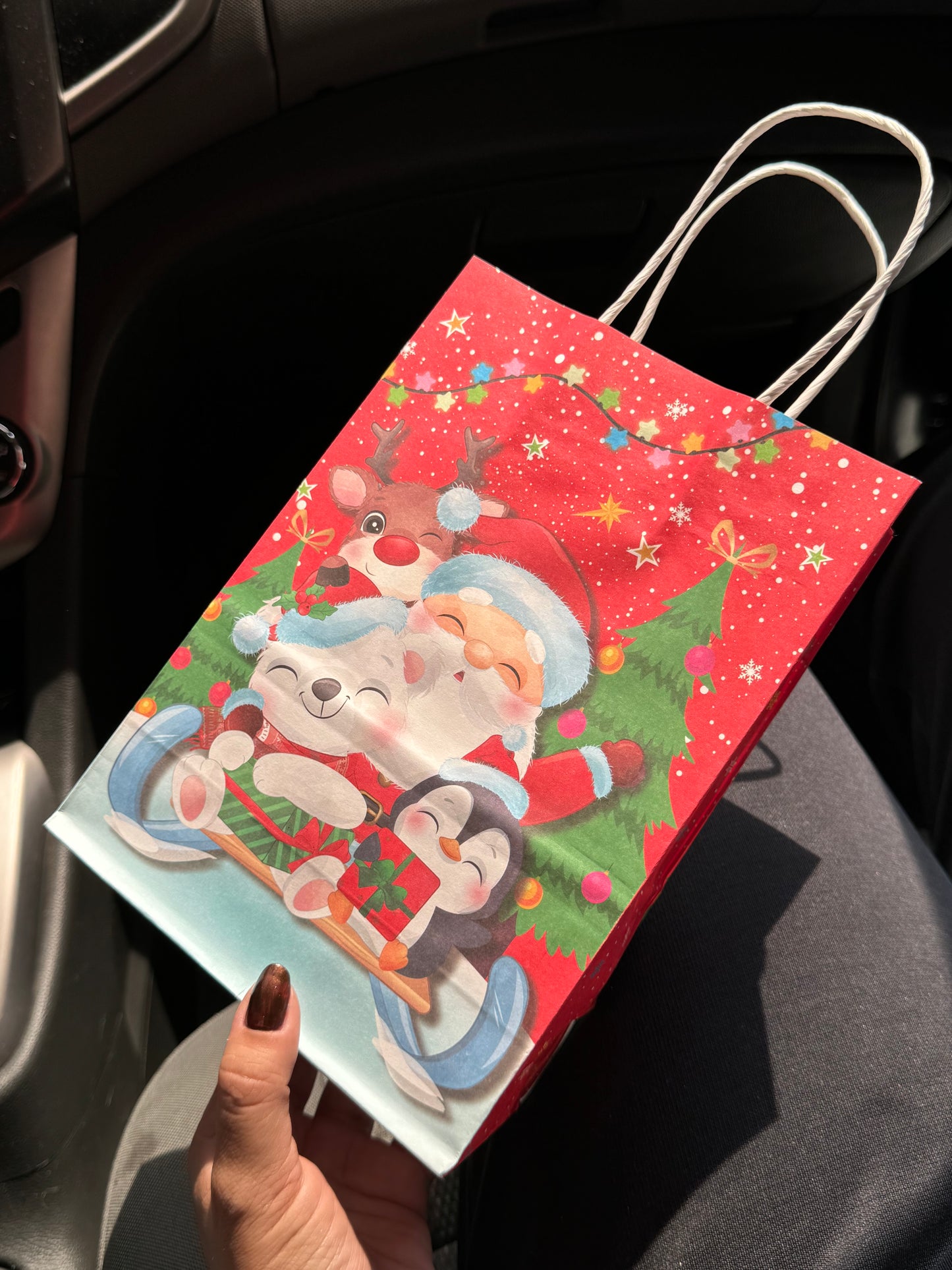 Empaques de regalo NAVIDAD