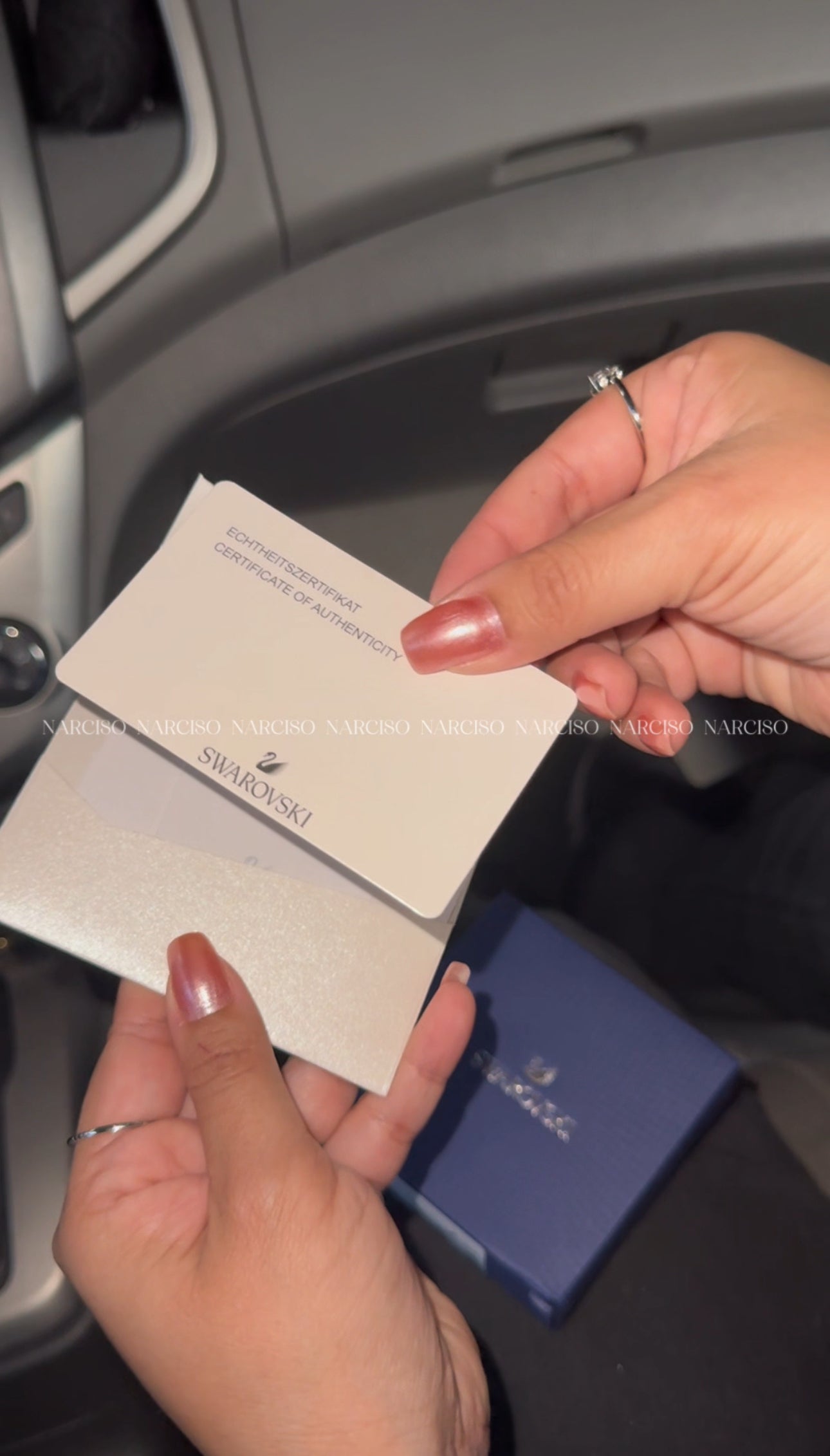 Cisne plateado Swarovski