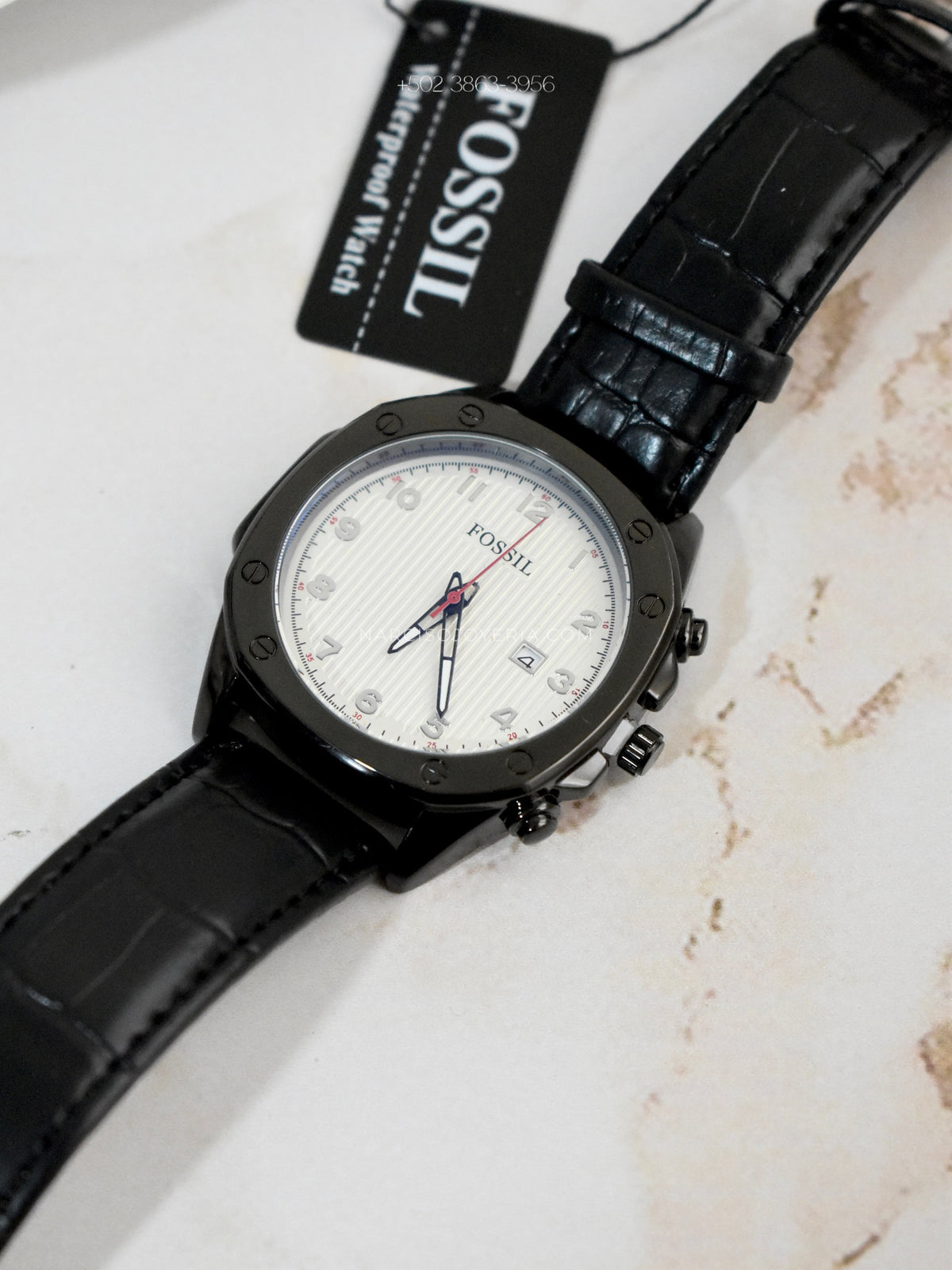 Fossil negro con blanco