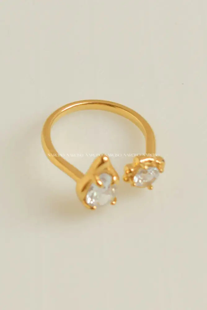 Anillo Chanté Anillos