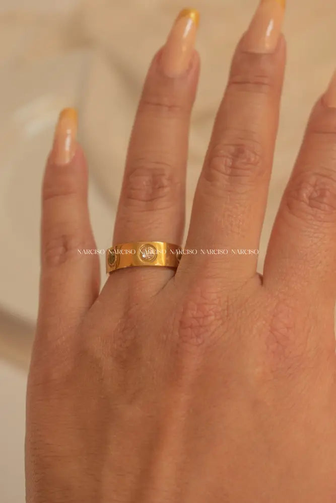 𝖈𝖆𝖗𝖙𝖎𝖊𝖗 Anillos