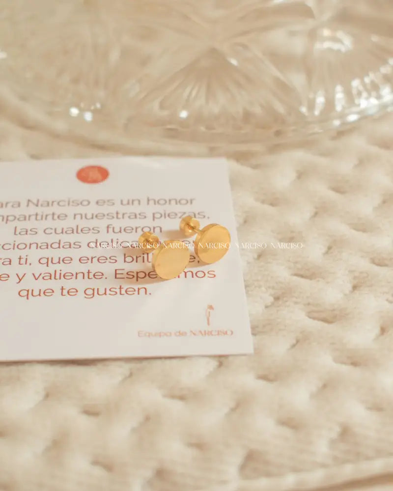 Aretes Planos Con Cierre De Rosca