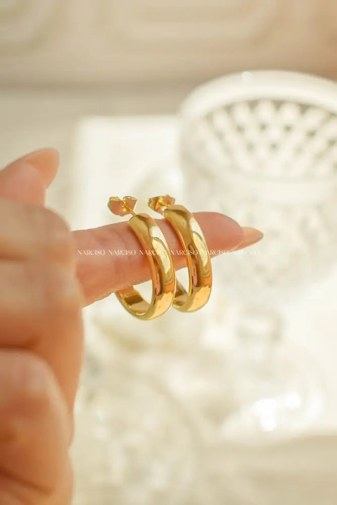 Argollas Grandes Gruesas Aretes