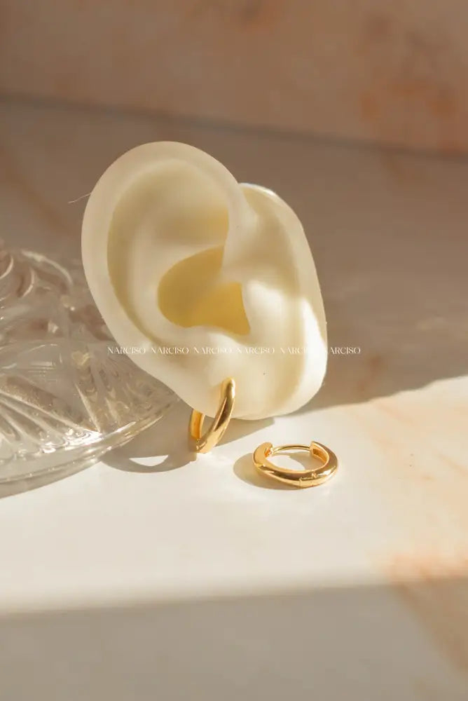 Basic Hoops Caballero