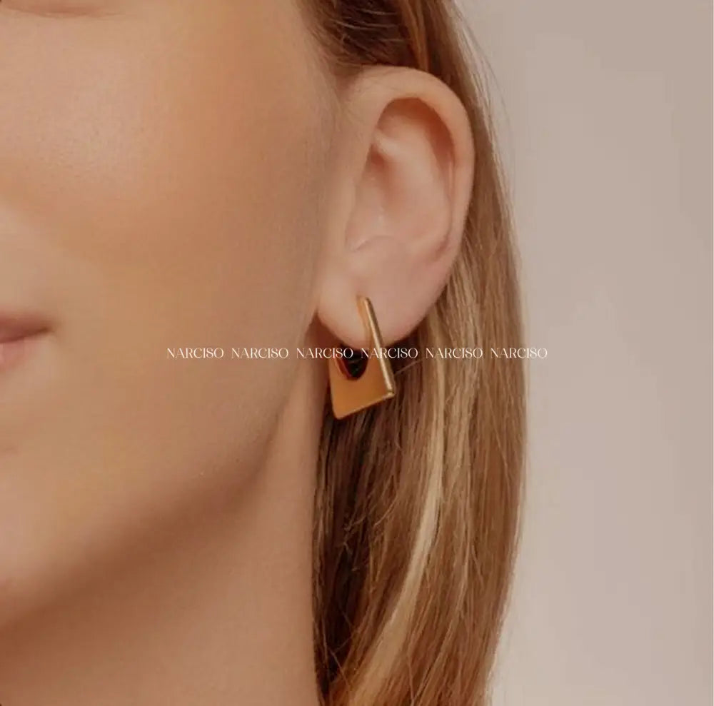 Bold Hoops Aretes