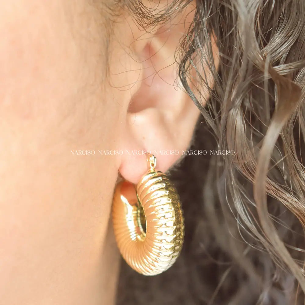 Caterpillar Hoops Aretes