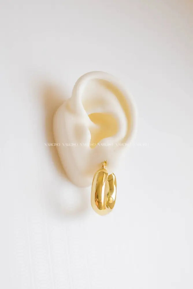 Chubby Hoops Aretes