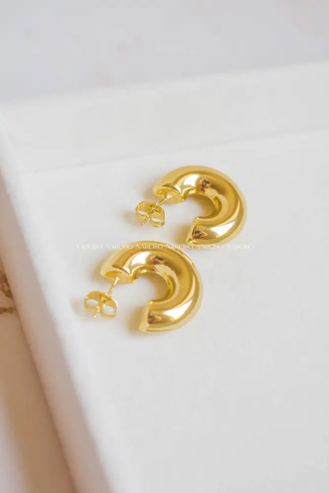 Chunky Favs Aretes
