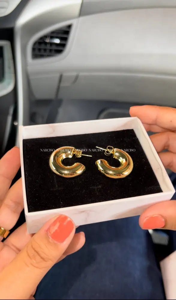 Chunky Favs Aretes