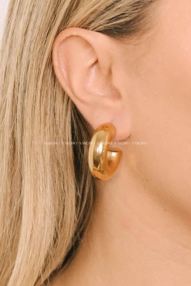 Chunky Favs Aretes