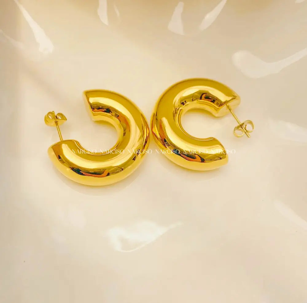 Chunky Favs Aretes