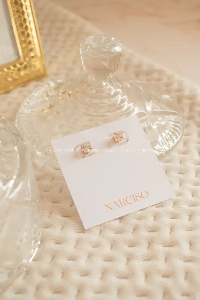 Circonitas Aretes