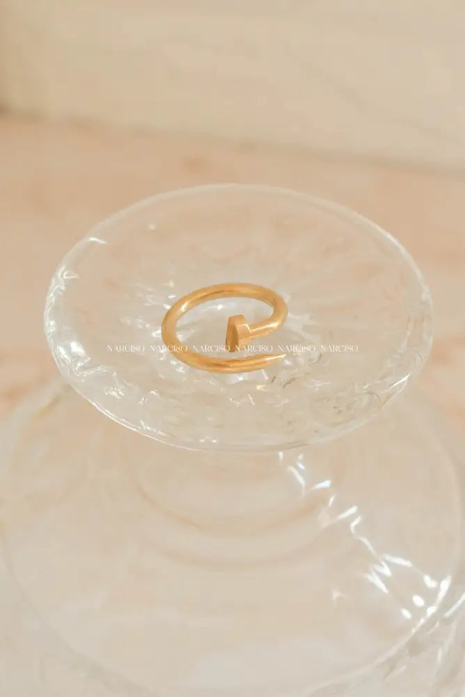 Clavo - Inspo Cartier Caballero