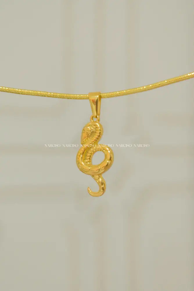 Dije De Serpiente Colgantes Y Dijes
