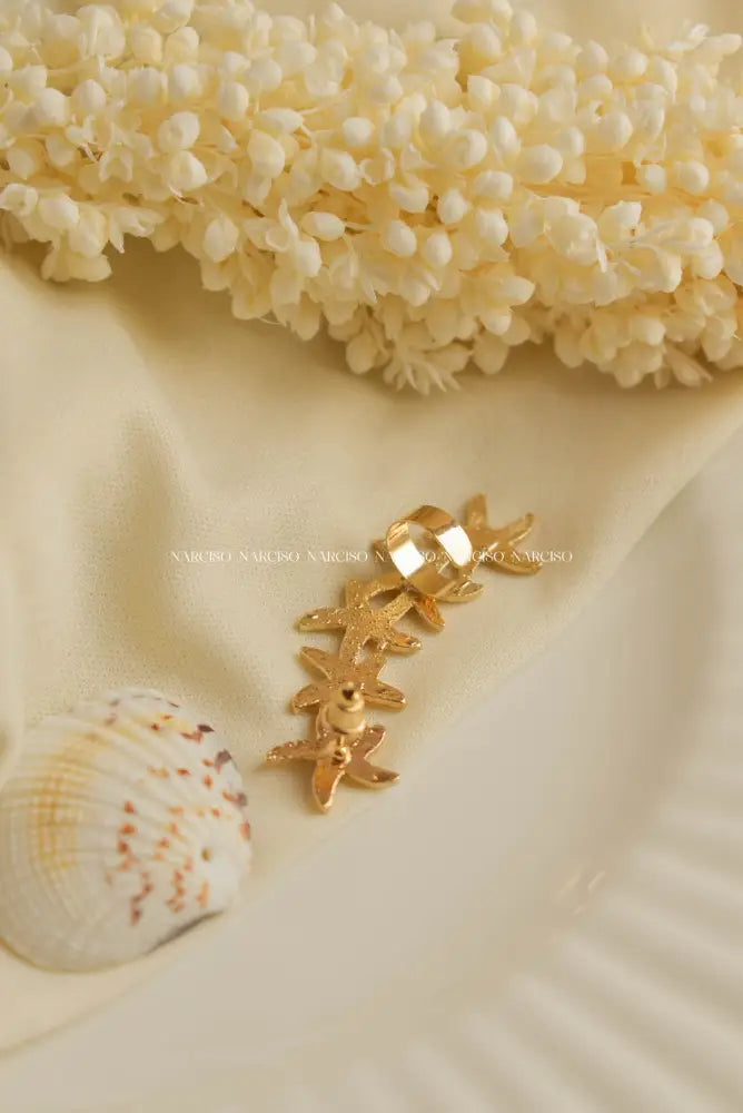 Earcuff Estrellas De Mar Falsos