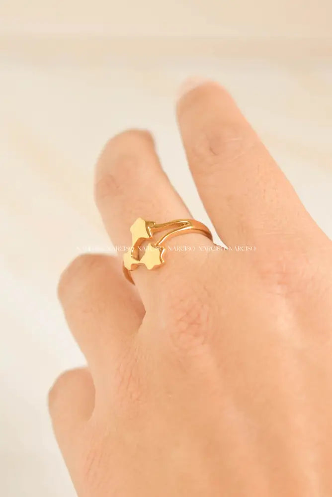 Estrellas Anillos