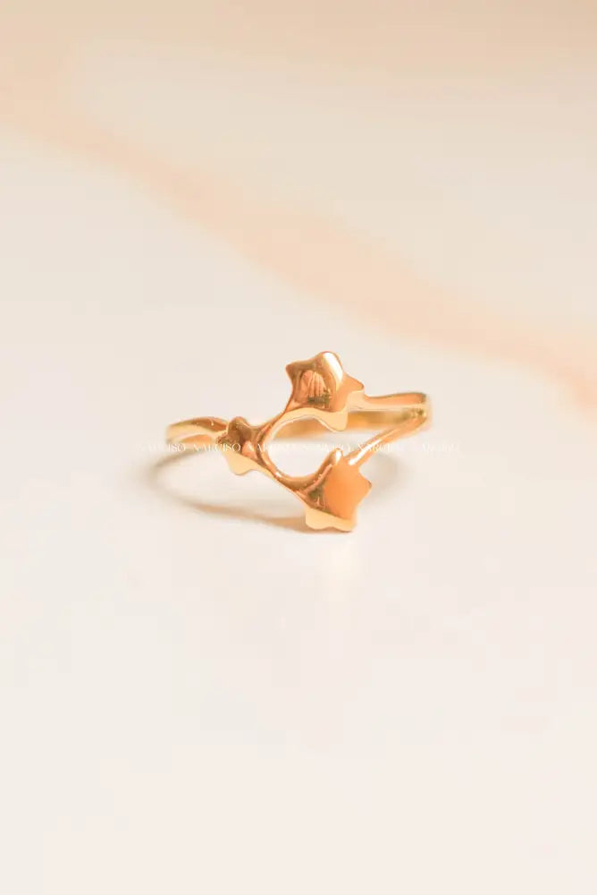 Estrellas Anillos