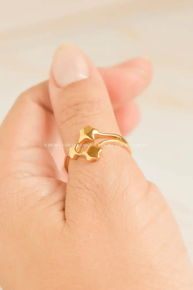 Estrellas Anillos