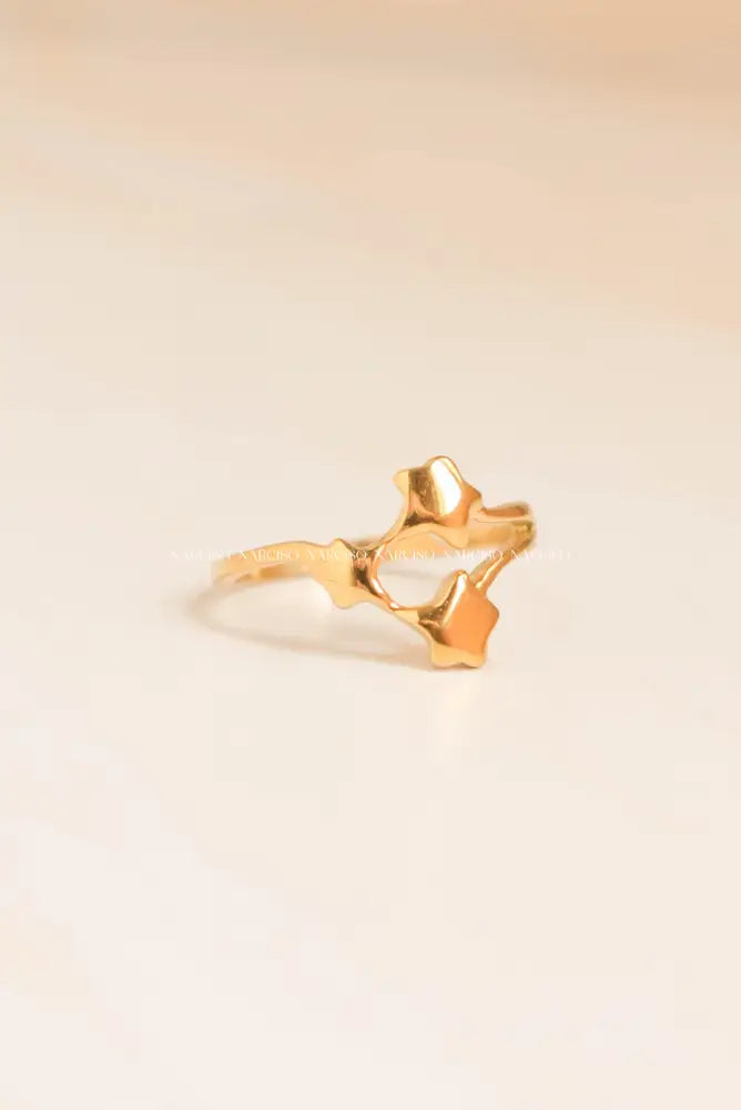 Estrellas Anillos