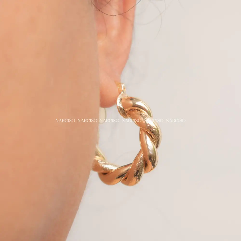 Fortuna Aretes