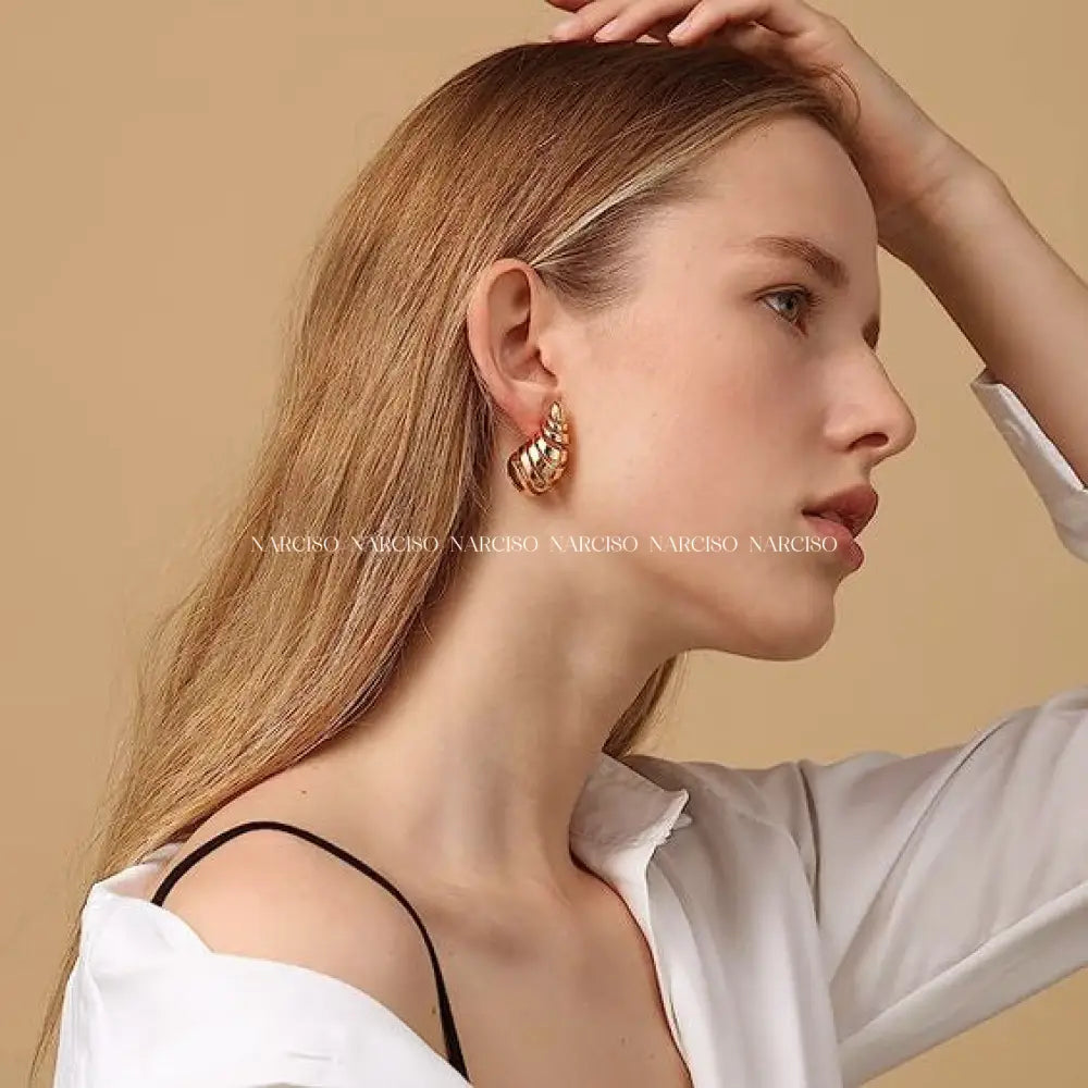 Inspo Bottega Aretes