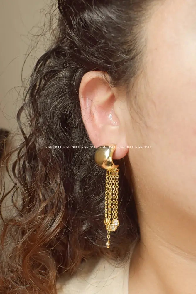 Lluvia Dorada Aretes