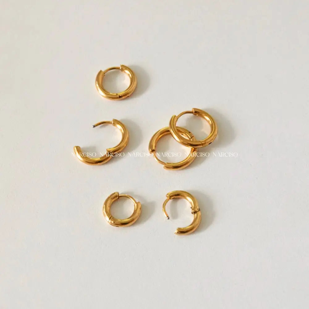 Marcela Hoops Par Aretes