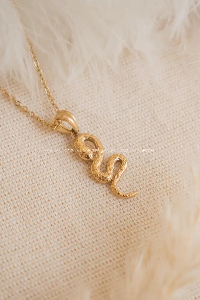 Serpiente Collar