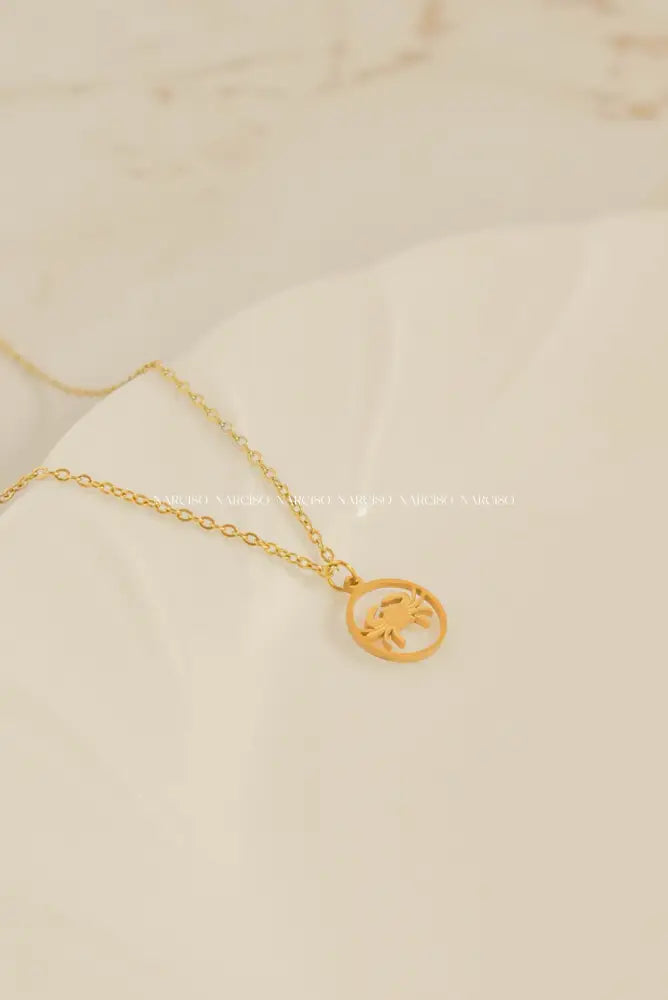 Signos Zodiacales Collar