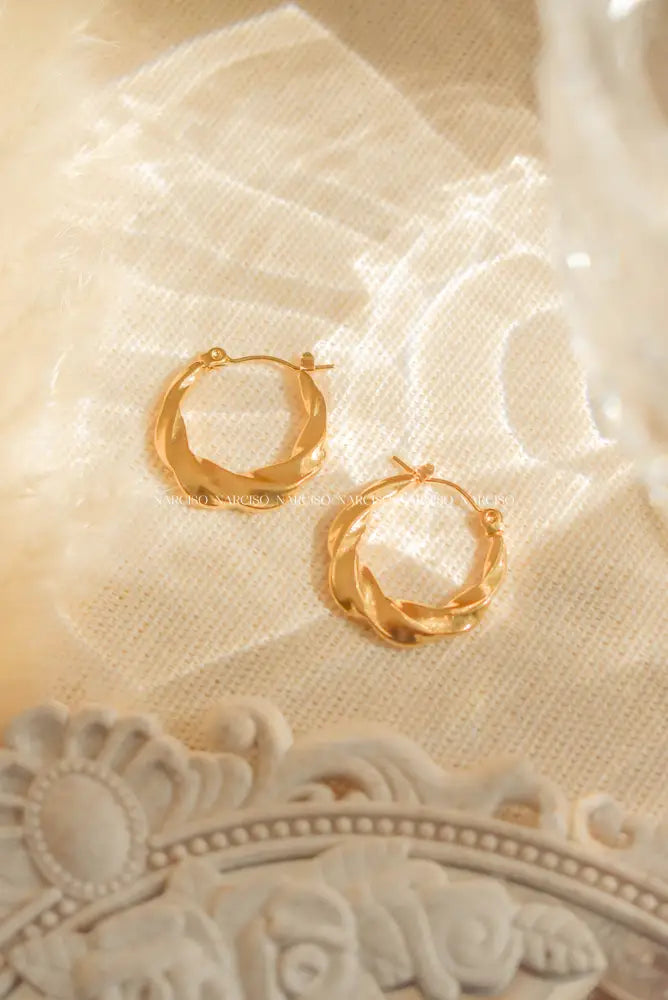 Sunburst Hoops Aretes