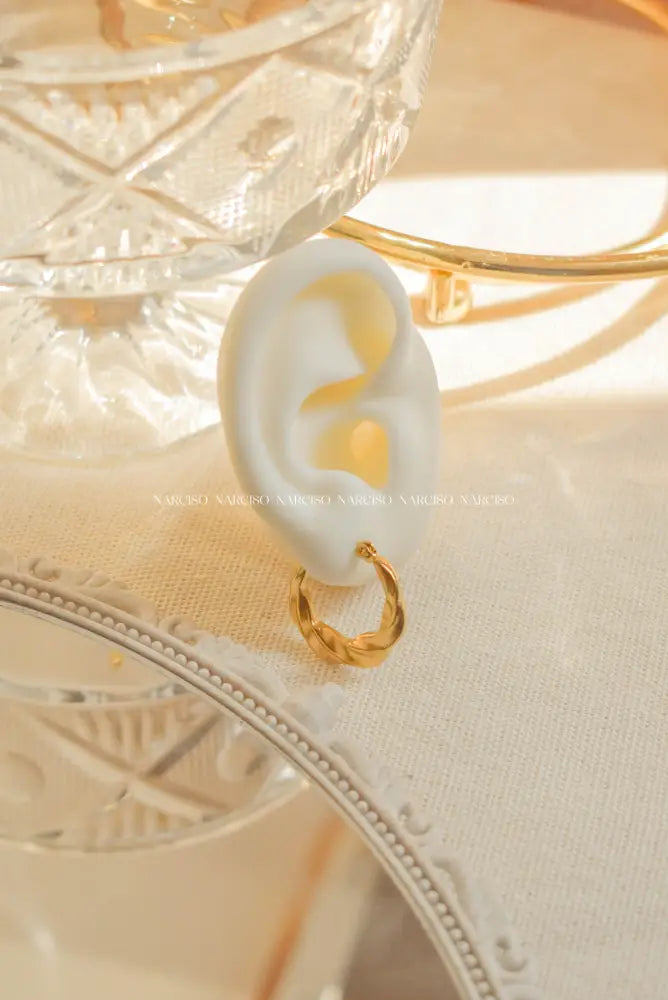 Sunburst Hoops Aretes