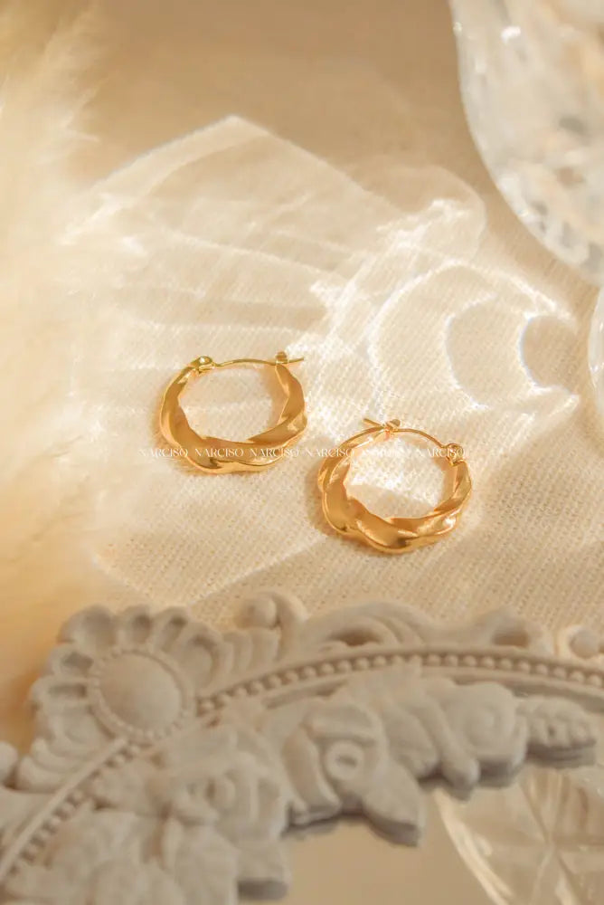 Sunburst Hoops Aretes