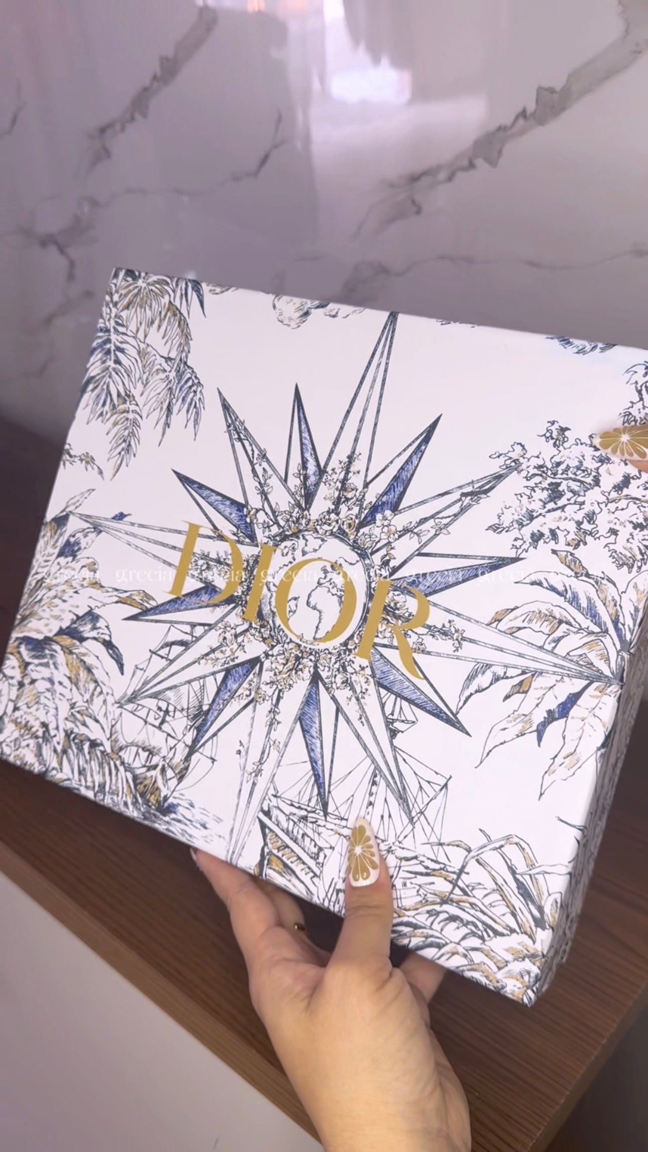 Dior Tote gris pequeña