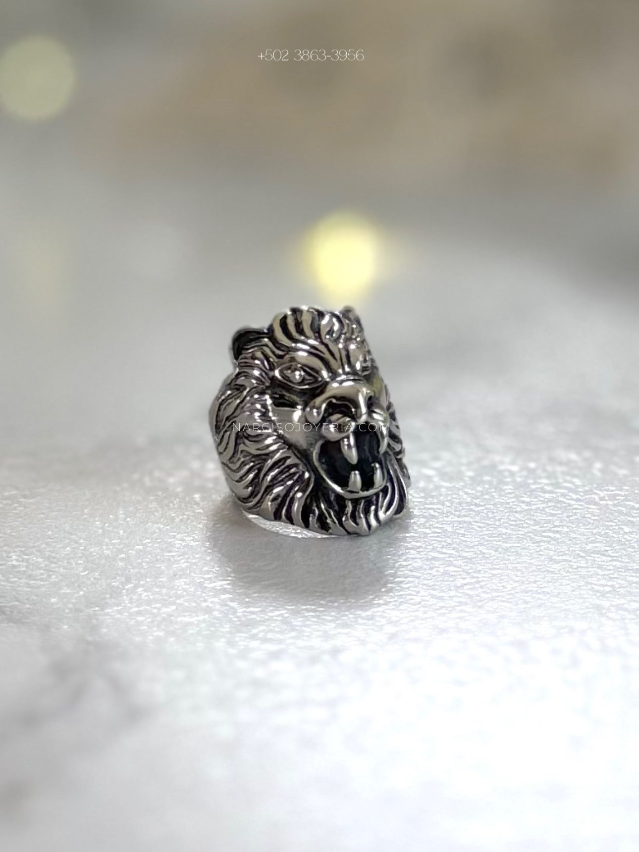 León anillo caballero