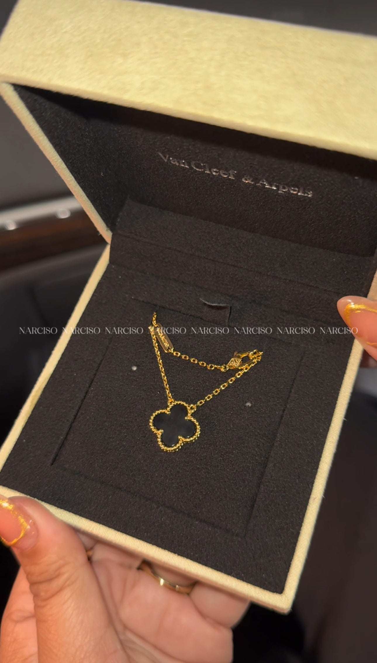 Collar VC negro con empaque