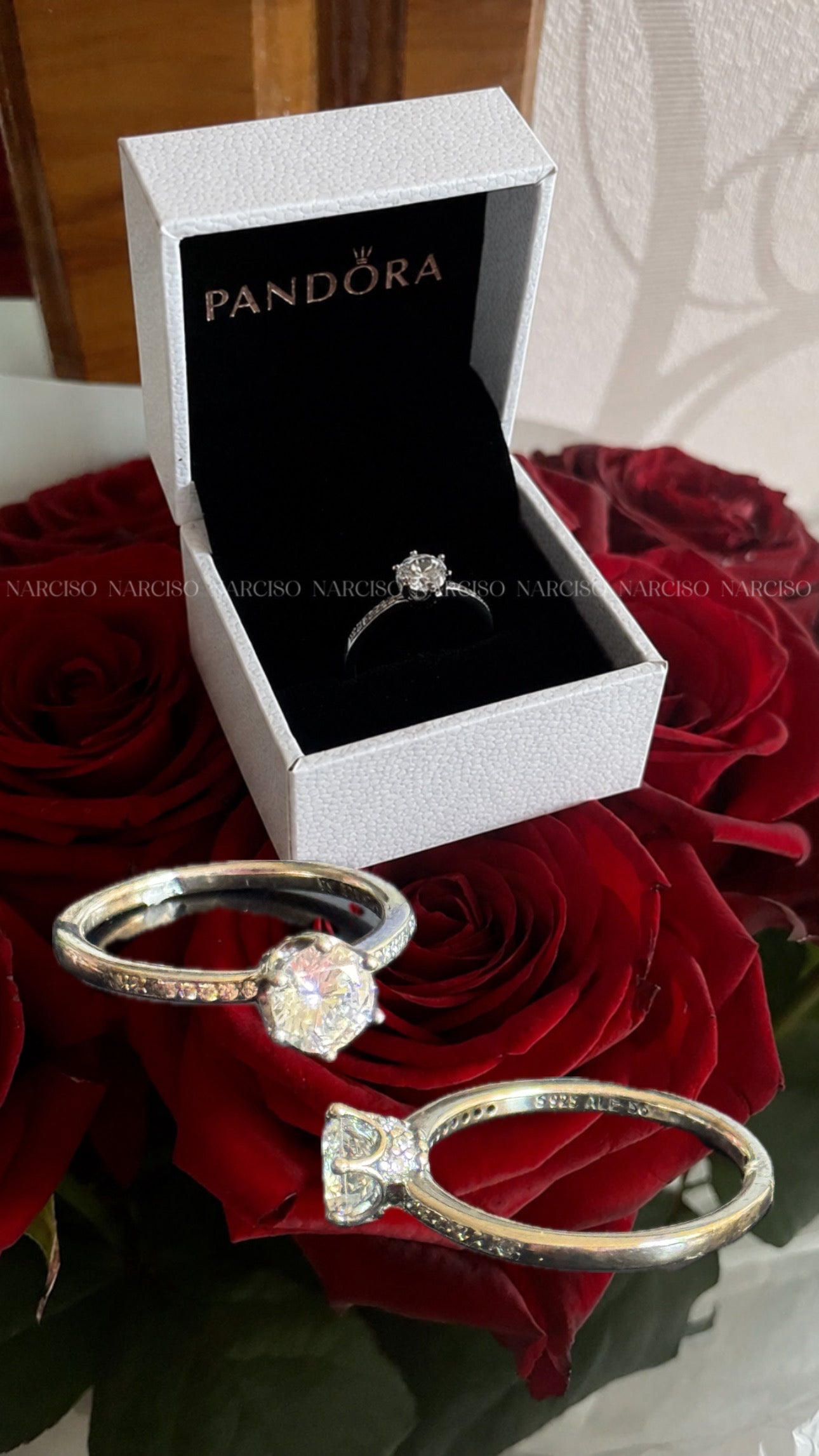Anillo Pandora tradicional