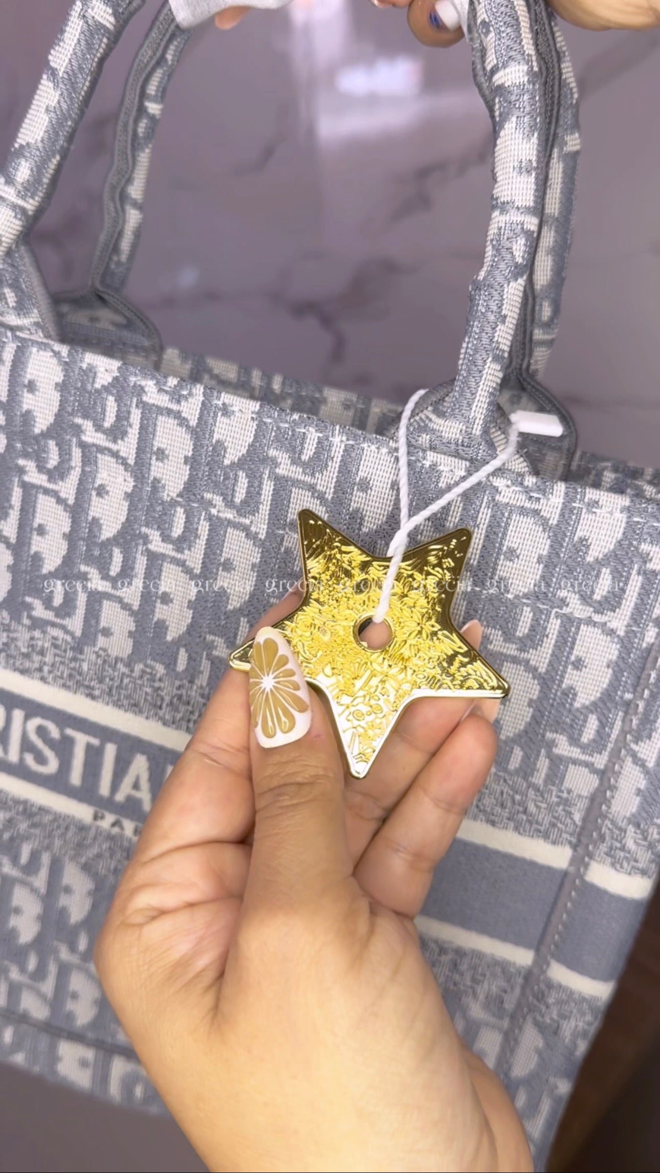 Dior Tote gris pequeña
