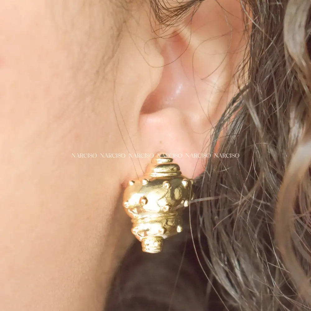 Caracoles Aretes