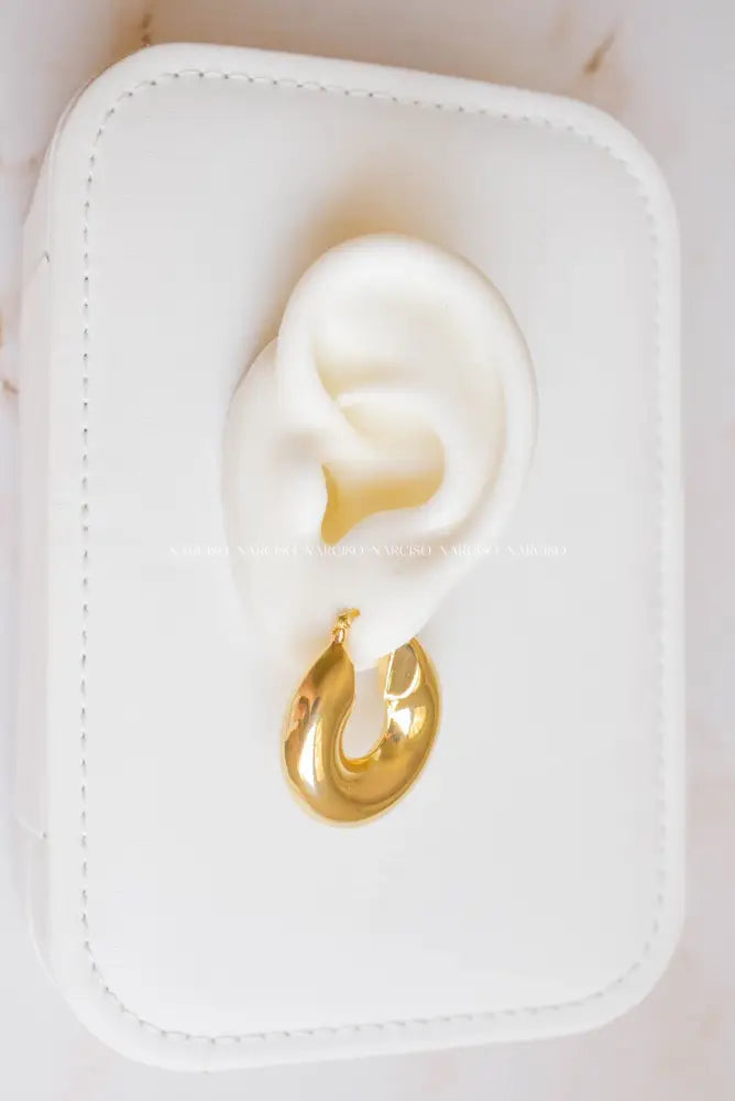 Chunky Favs Aretes