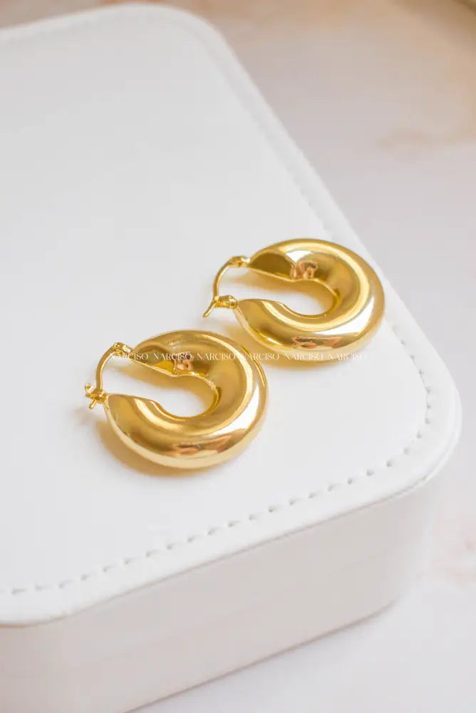 Chunky Favs Aretes