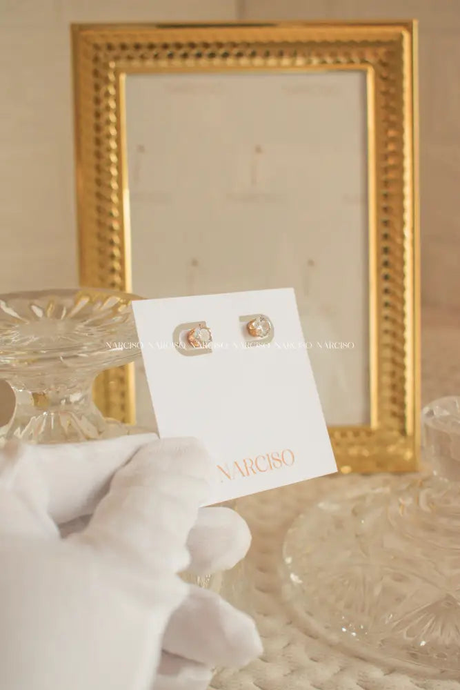 Circonitas Aretes