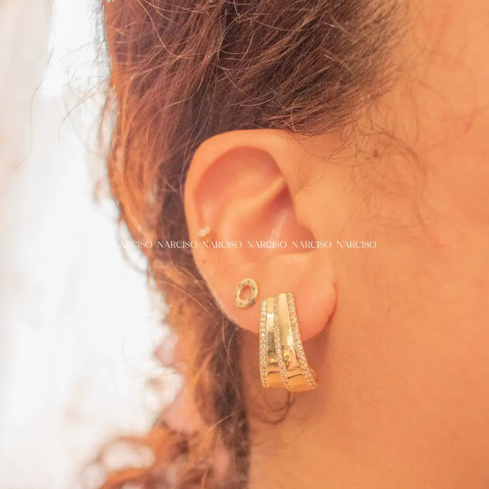 Fancy Studs Aretes