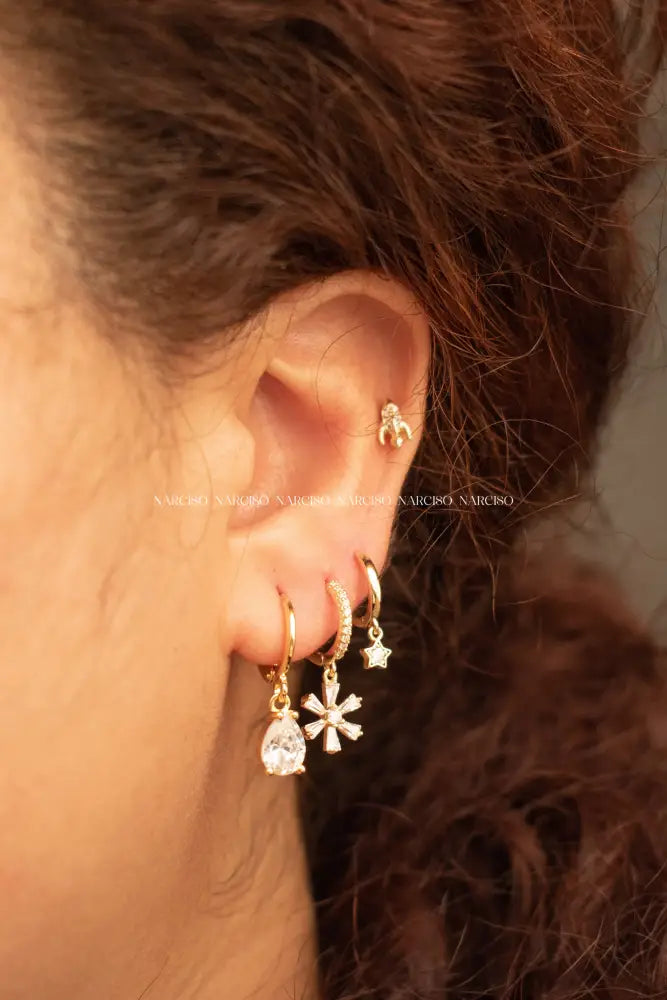 Leire Aretes