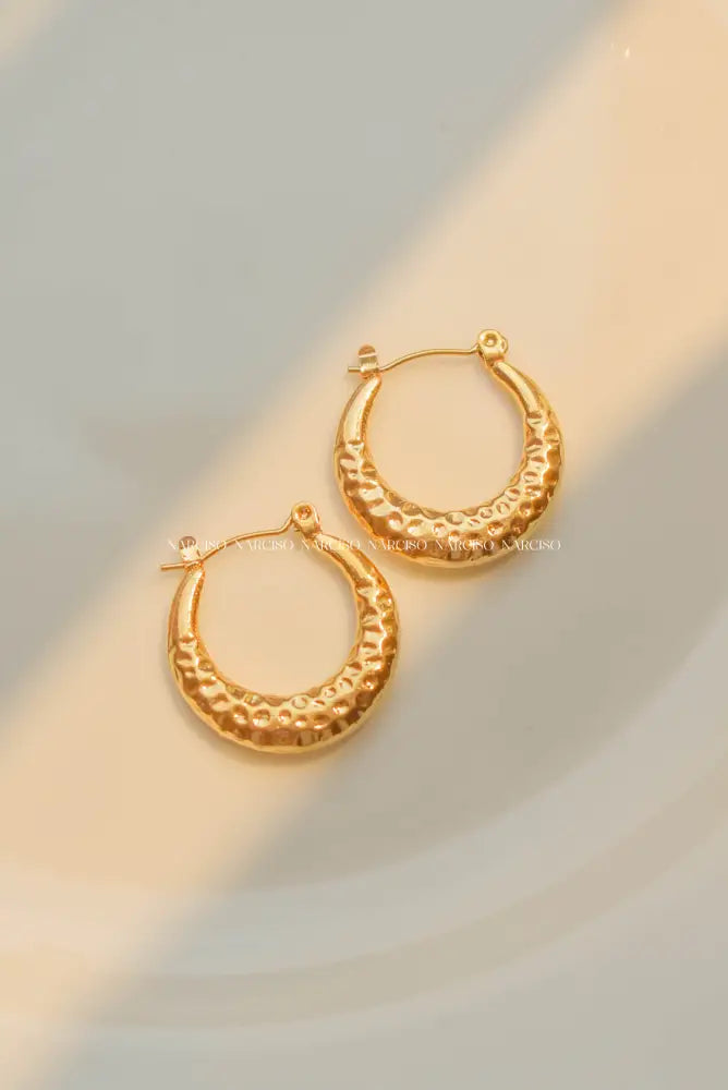 Luxe Hoops Aretes