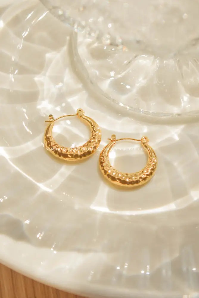 Luxe Hoops Aretes