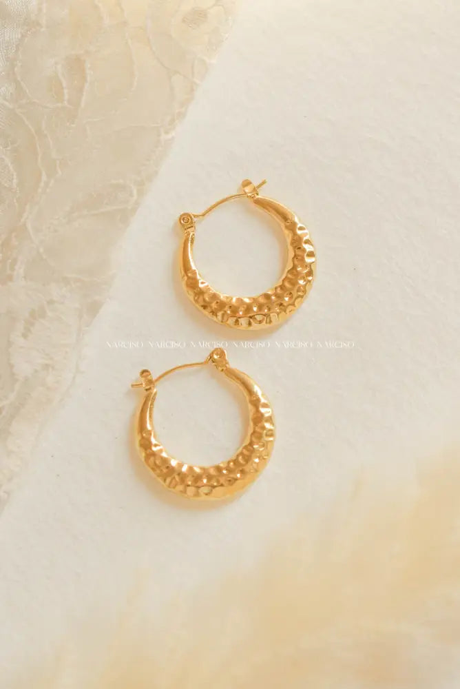 Luxe Hoops Aretes
