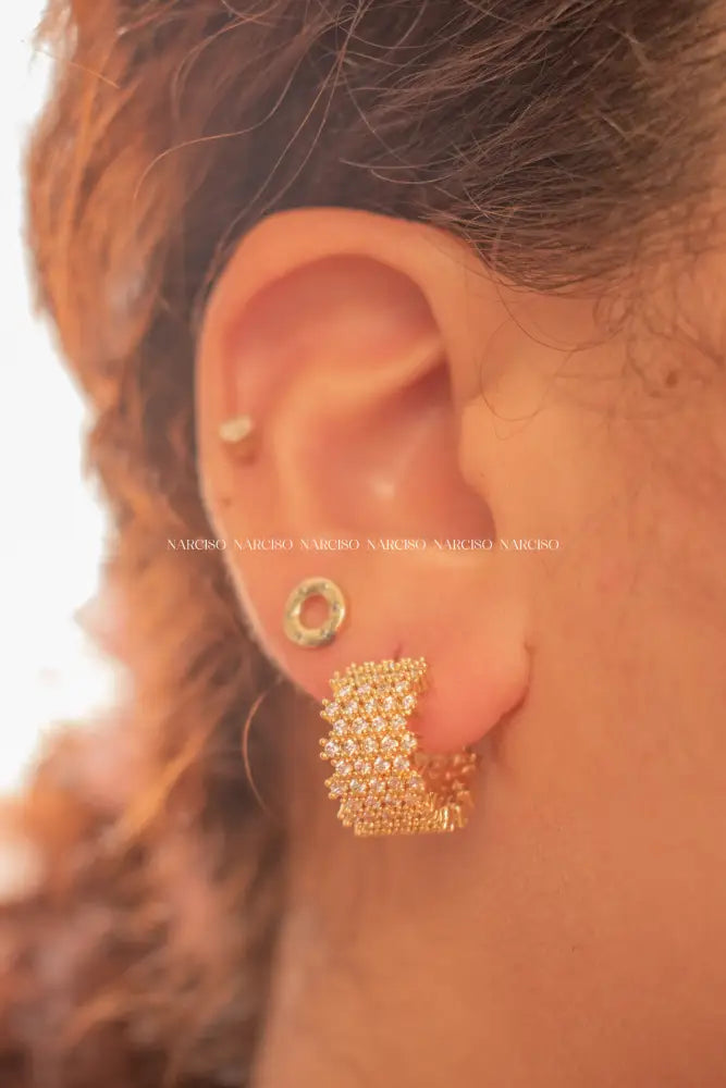 Sparkle Aretes