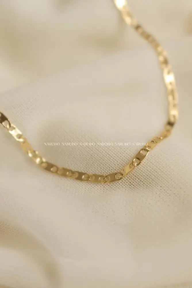 Stefania Collar